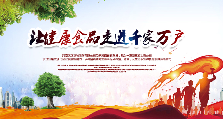 河南民正农牧股份有限公司