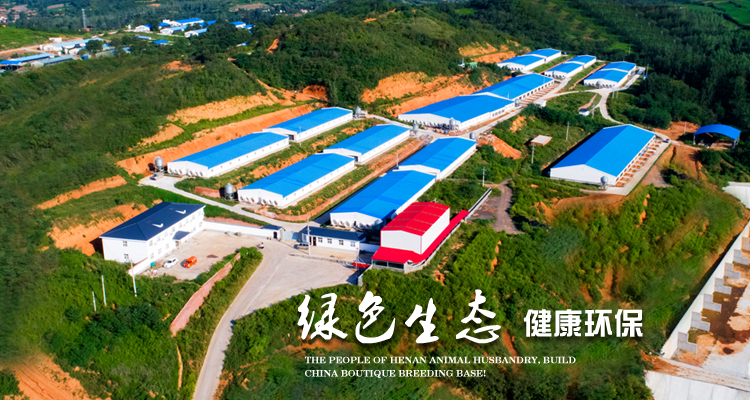 河南民正农牧股份有限公司